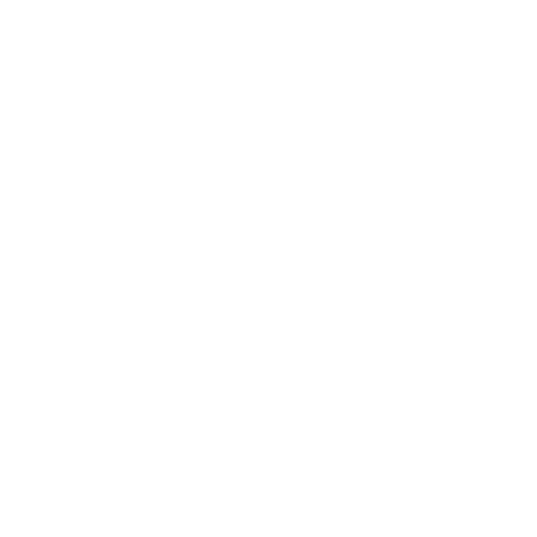 Hong Kong Street Food